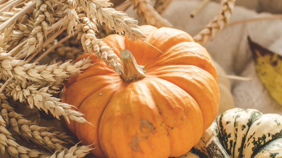Fall Fest Community Night